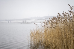 Občerstvení u jezera Milada v zimě